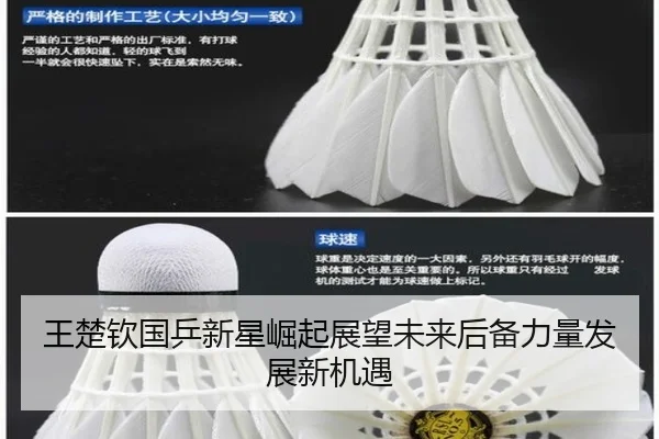 王楚钦国乒新星崛起展望未来后备力量发展新机遇