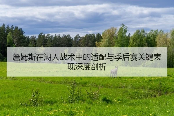 詹姆斯在湖人战术中的适配与季后赛关键表现深度剖析